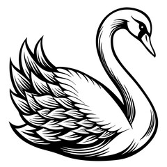 Fototapeta premium silhouette of a swan