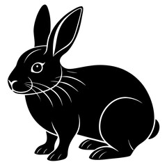 black and white rabbit