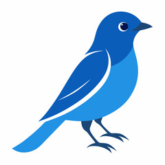 blue bird on a branch