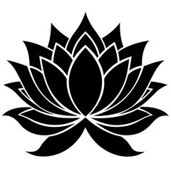 lotus flower vector