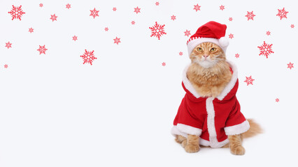 Christmas cat in Santa Claus outfit with snowflakes on white background. Ideal for holiday greeting card. Festive background. celebrating Christmas. Happy New Year. Xmas. Winter Holiday postcard