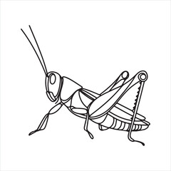 single one line grasshopper silhouette on white background
