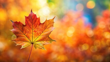 Fototapeta premium Autumn maple leaf nature background with colorful foliage at a tilted angle
