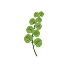 Green leaves Icon Vector illustration. Nature Leaf decorative symbol. leaves of trees and plants sign, emblem isolated on white background.