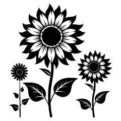 sunflower vector silhouette black-and-white