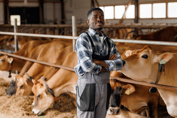 Farm worker, happy African Farmer man on background cow. Agriculture for livestock, sustainability and agro small business in countryside ranch © Parilov