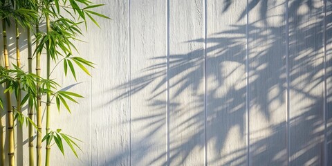 Bamboo shadow casting on white wall