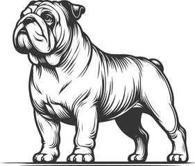 Line art French bulldog illustration. Ink style, cute animal for print Vector linear silhouette.