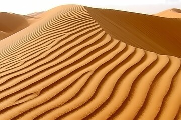 Serene Sand Dunes in Muted Desert Landscape
