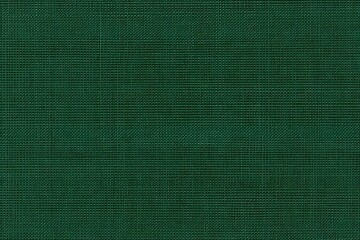 Fototapeta premium Solid Green Background for Creative Projects