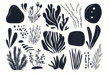A collection of abstract black illustrations showcases diverse aquatic plants and stones