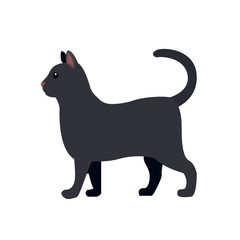 Cat animal cute illustration symbol vector