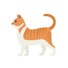 Cat animal cute illustration symbol vector