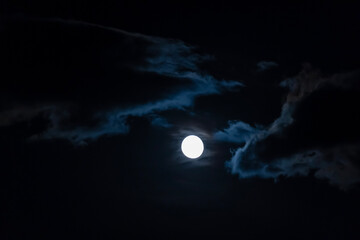 Fototapeta premium full moon in the night sky among the clouds.