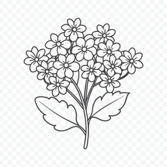 Floral Bunch with Heliotrope Flowers in Detailed Line Art Vector Illustration