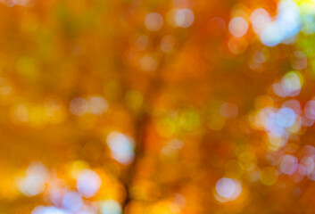 Blur backdrop autumn leaves. Unfocused colorful season. Bokeh autumn leaves. Fall blurred...