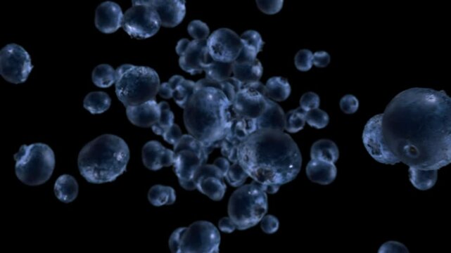 Raw juicy blueberries exploding and flying in super slow motion. Blueberry drops after explosion. High speed isolated footage with alpha channel