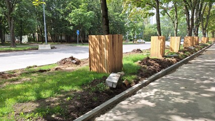 Urban tree protection with wooden panels on city sidewalk