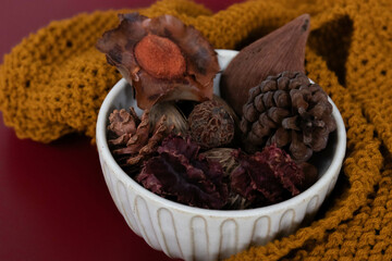 Autumn Concept, Dried Bush Willows for background