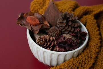 Autumn Concept, Dried Bush Willows for background