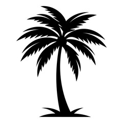 palm tree silhouette