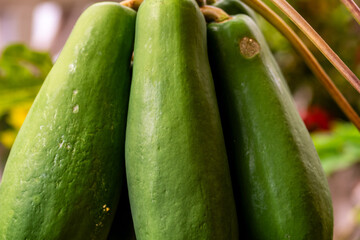 Carica papaya pertenece a la familia Caricaceae.
