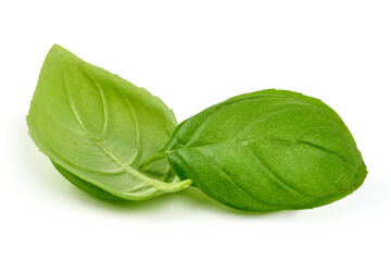 Fresh basil leaves, isolated on white background.