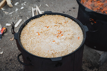 In a cozy kitchen, a charming round pot holds fluffy white rice and bright orange carrots, creating a visually appealing and colorful dish that entices the hungry and curious