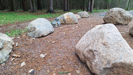 Large stones lining a forest path amidst pine trees in autumn