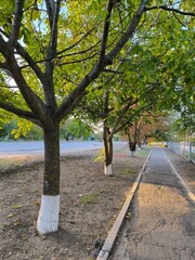 autumn in the park