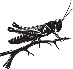 Grasshopper Silhouette isolated on a white background Minimalist Grasshopper vector illustration