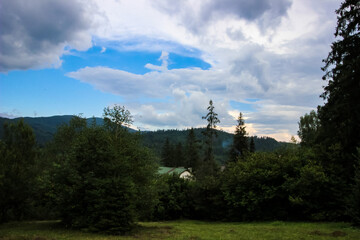 Obraz premium meadow, various herbs, forest, mountains, trees,white, gray, clouds, blue sky,rpanorama, summer