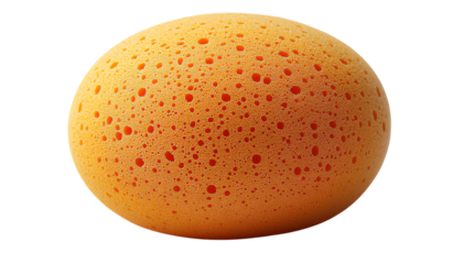 A vibrant orange sponge egg with distinctive pores, ideal for artistic or culinary themed projects.
