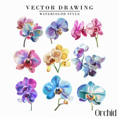 watercolor  Tulips Flowers vector vintage watercolor style