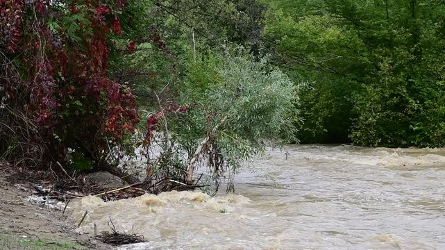River in flood with flooding in Isere in France in autumn.