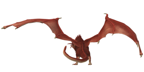 Dragon isolated on a Transparent Background