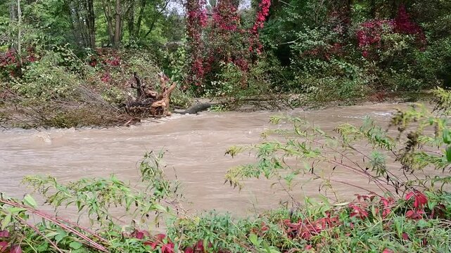 River in flood with flooding in Isere in France in autumn.