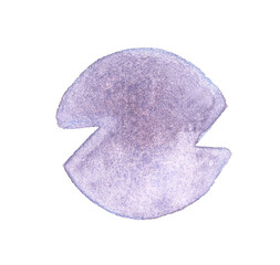 Z letter. Abstract circular texture with purple and blue tones on white background.