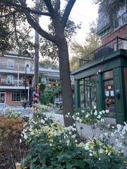 Street view of quiet storefront in a peaceful neighbourhood