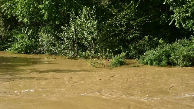River in flood with flooding in Isere in France in autumn.