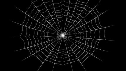 Fototapeta premium Halloween spider web simple illustration