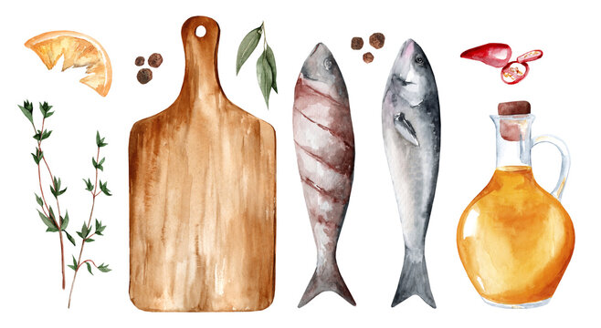 Watercolor set of illustrations with raw and baked fish, cutting board and spices isolated on  white background. Trout and cooking ingredients for menu and cafe design
