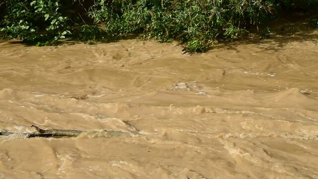 River in flood with flooding in Isere in France in autumn.