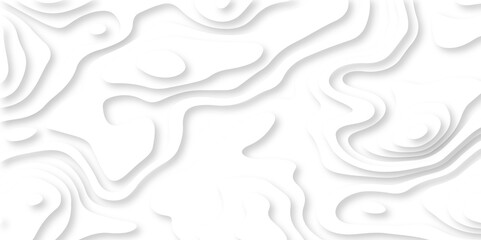 White minimal abstract background papercut and grid spiral realistic design use for ads banner and advertising print design. topography relief. Vector topographic illustration.
