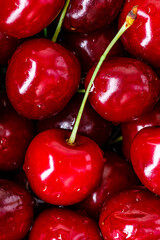 Cherry background.Close up of a bunch of bright red cherries shot from above. Cherry with drops. Food background.