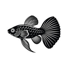 Fototapeta premium Guppy silhouette