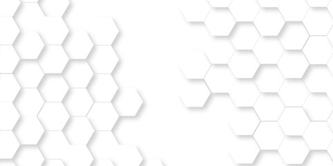 Minimal White Hexagonal Background. Luxury White Pattern. Vector Illustration. 3D Futuristic abstract honeycomb mosaic white background. geometric mesh cell texture. modern futuristic wallpaper.
