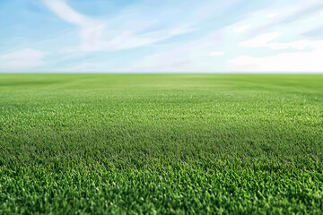 Obraz premium Cricket Pitch Field Background | Perfect for Sports Themes and Event Promotions