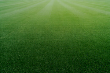 Obraz premium Cricket Pitch Field Background | Perfect for Sports Themes and Event Promotions