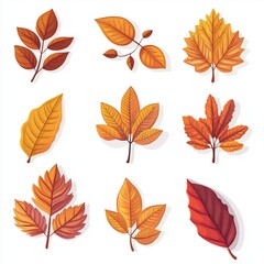 Fototapeta premium autumn leaves set on white background